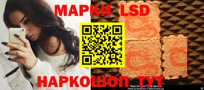 spice Обнинск