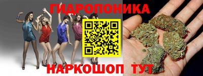spice Обнинск