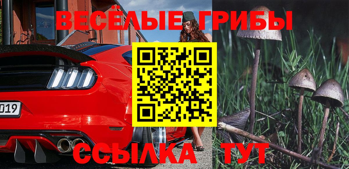 Псилоцибиновые грибы Magic Shrooms Югорск